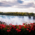 Aventuras en las Cataratas del Niagara