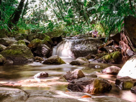 El Yunque Rainforest y Bahia Beach