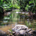 El Gran Charco Azul de Patillas