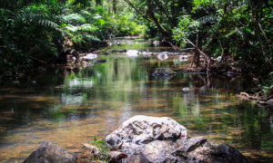 El Gran Charco Azul de Patillas