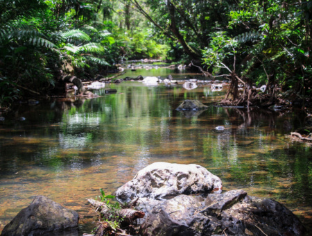 El Gran Charco Azul de Patillas