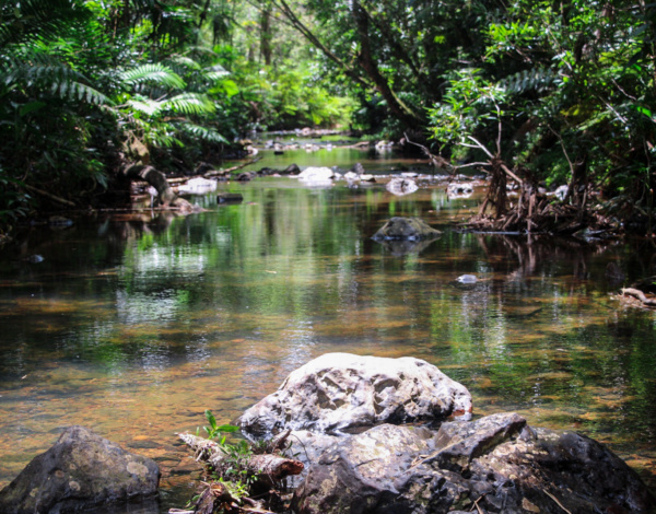 El Gran Charco Azul de Patillas