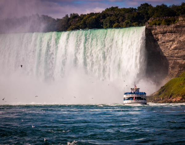 Crucero por las Cataratas entre dos países