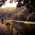 Paseando por un jardín de mas de 400 años