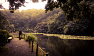 Paseando por un jardín de mas de 400 años