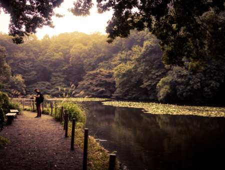 Paseando por un jardín de mas de 400 años