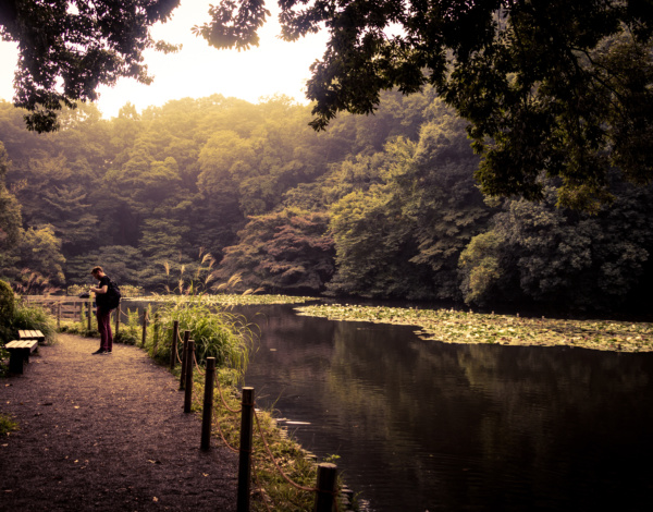 Paseando por un jardín de mas de 400 años