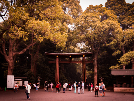 Templo rodeado por un bosque en la ciudad