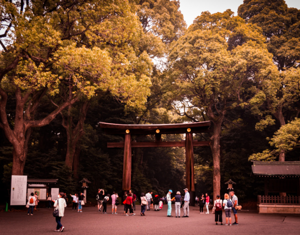 Templo rodeado por un bosque en la ciudad