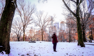 Navidades en New York- 5 Cosas que no te debes perder