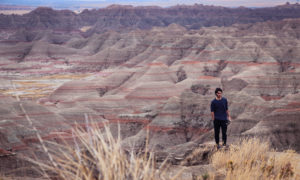 Fósiles en las montañas multicolores Badlands