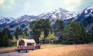 Cabalgando las hermosas montañas de Grand Teton