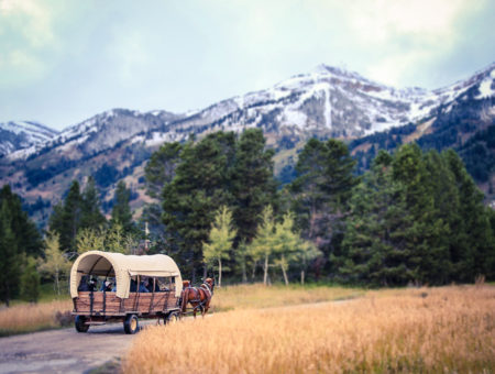 Cabalgando las hermosas montañas de Grand Teton