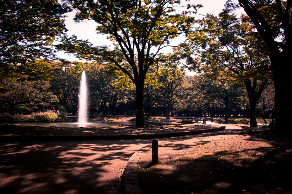 Yoyogi park