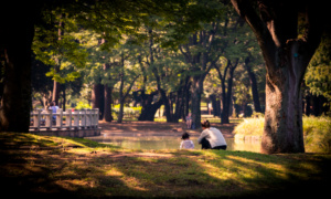 Visitando el Central Park de Tokio- Yoyogi Park