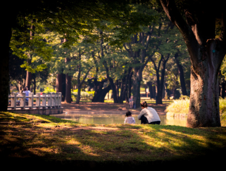 Visitando el Central Park de Tokio- Yoyogi Park