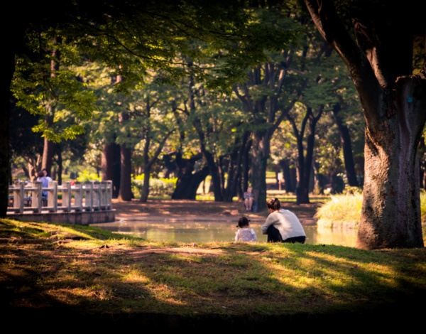 Visitando el Central Park de Tokio- Yoyogi Park